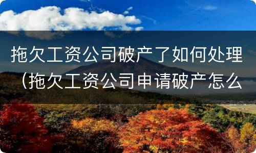 拖欠工资公司破产了如何处理（拖欠工资公司申请破产怎么办）