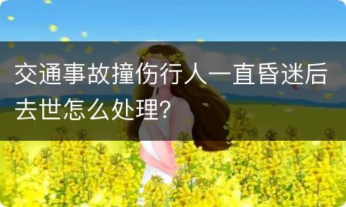 交通事故撞伤行人一直昏迷后去世怎么处理？