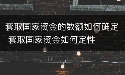 套取国家资金的数额如何确定 套取国家资金如何定性