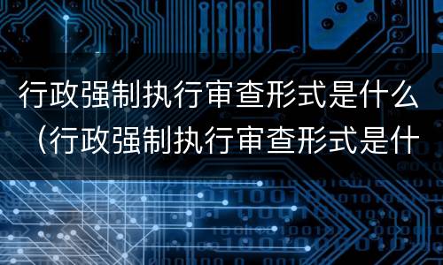 行政强制执行审查形式是什么（行政强制执行审查形式是什么样的）