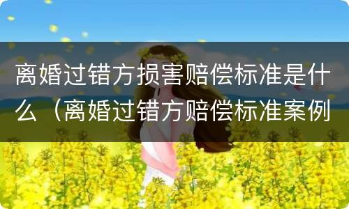 离婚过错方损害赔偿标准是什么（离婚过错方赔偿标准案例）