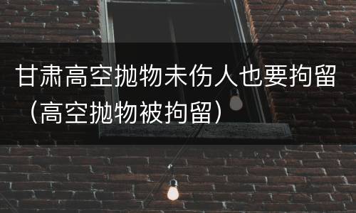 甘肃高空抛物未伤人也要拘留（高空抛物被拘留）