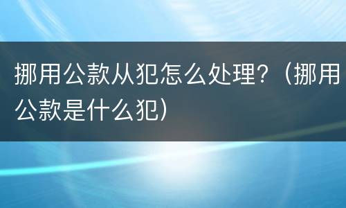 挪用公款从犯怎么处理?（挪用公款是什么犯）