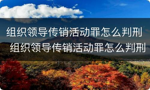 组织领导传销活动罪怎么判刑 组织领导传销活动罪怎么判刑的