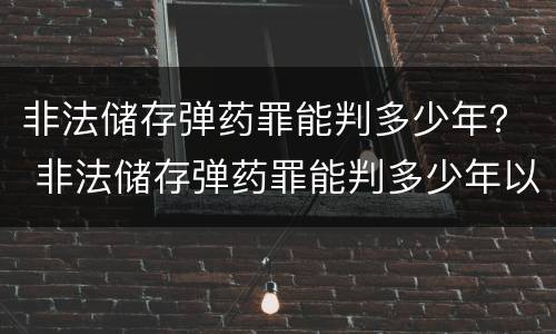 非法储存弹药罪能判多少年？ 非法储存弹药罪能判多少年以上