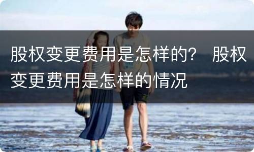 股权变更费用是怎样的？ 股权变更费用是怎样的情况