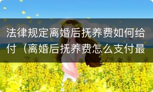 法律规定离婚后抚养费如何给付（离婚后抚养费怎么支付最好）