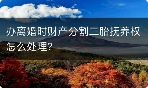 办离婚时财产分割二胎抚养权怎么处理？