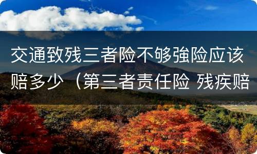 交通致残三者险不够強险应该赔多少（第三者责任险 残疾赔偿金）