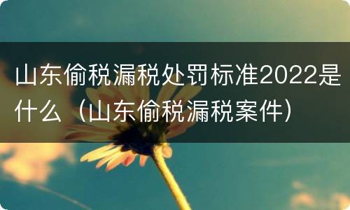 山东偷税漏税处罚标准2022是什么（山东偷税漏税案件）