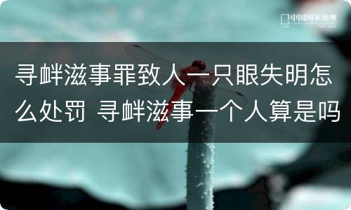 寻衅滋事罪致人一只眼失明怎么处罚 寻衅滋事一个人算是吗