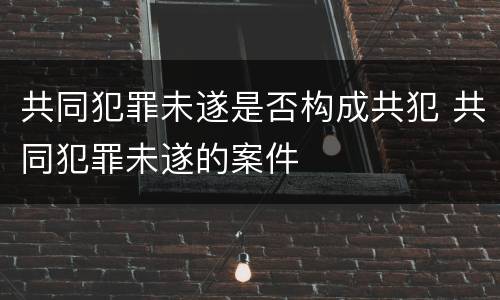 共同犯罪未遂是否构成共犯 共同犯罪未遂的案件