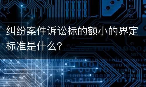 纠纷案件诉讼标的额小的界定标准是什么？