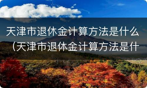 天津市退休金计算方法是什么（天津市退休金计算方法是什么规定）