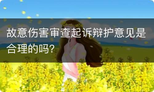 故意伤害审查起诉辩护意见是合理的吗？