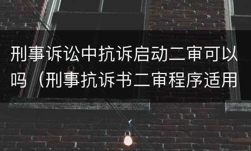 刑事诉讼中抗诉启动二审可以吗（刑事抗诉书二审程序适用）