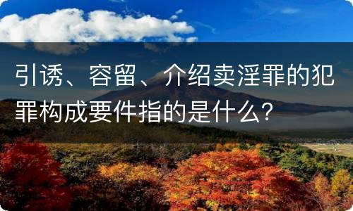 引诱、容留、介绍卖淫罪的犯罪构成要件指的是什么？