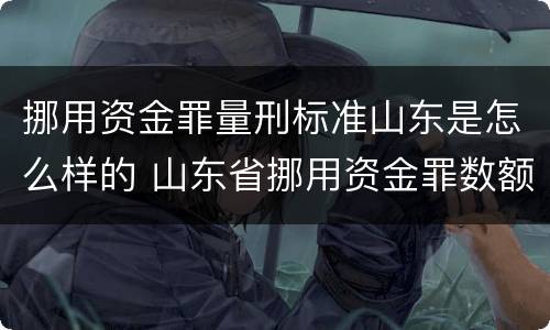 挪用资金罪量刑标准山东是怎么样的 山东省挪用资金罪数额巨大的标准