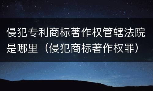 侵犯专利商标著作权管辖法院是哪里（侵犯商标著作权罪）