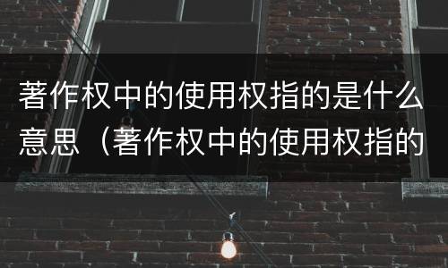 著作权中的使用权指的是什么意思（著作权中的使用权指的是什么意思啊）