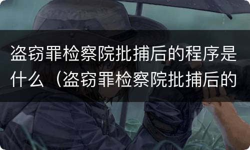 盗窃罪检察院批捕后的程序是什么（盗窃罪检察院批捕后的程序是什么呢）