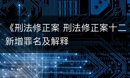 《刑法修正案 刑法修正案十二新增罪名及解释