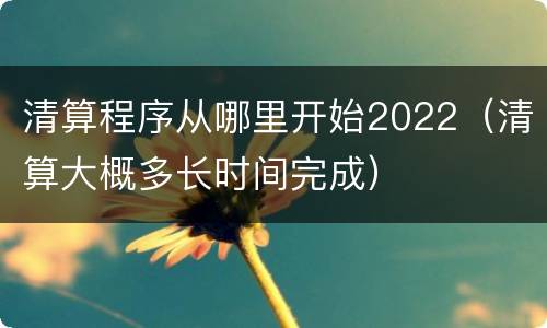 清算程序从哪里开始2022（清算大概多长时间完成）