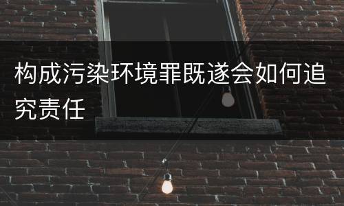 构成污染环境罪既遂会如何追究责任