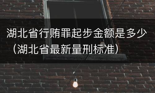 湖北省行贿罪起步金额是多少（湖北省最新量刑标准）