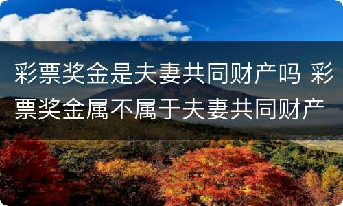 彩票奖金是夫妻共同财产吗 彩票奖金属不属于夫妻共同财产