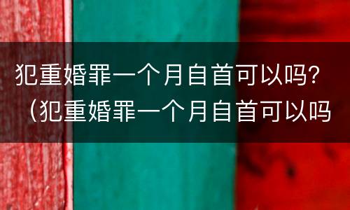 犯重婚罪一个月自首可以吗？（犯重婚罪一个月自首可以吗）