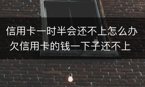 信用卡一时半会还不上怎么办 欠信用卡的钱一下子还不上