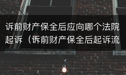 诉前财产保全后应向哪个法院起诉（诉前财产保全后起诉流程）