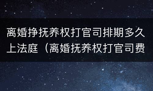 离婚挣抚养权打官司排期多久上法庭（离婚抚养权打官司费用）