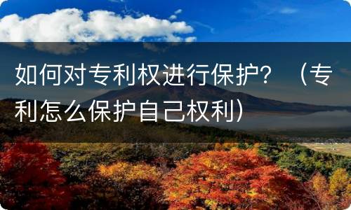 如何对专利权进行保护？（专利怎么保护自己权利）