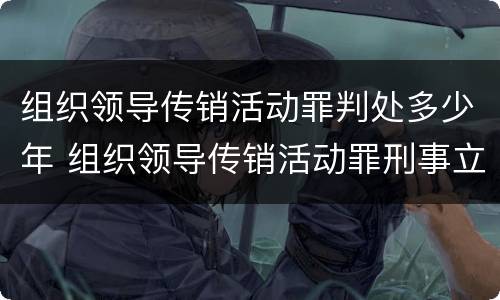 组织领导传销活动罪判处多少年 组织领导传销活动罪刑事立案标准