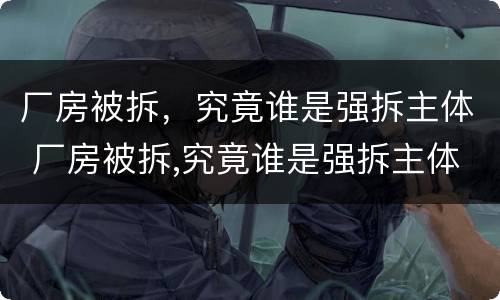 厂房被拆，究竟谁是强拆主体 厂房被拆,究竟谁是强拆主体呢