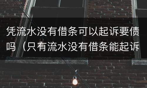 凭流水没有借条可以起诉要债吗（只有流水没有借条能起诉么）