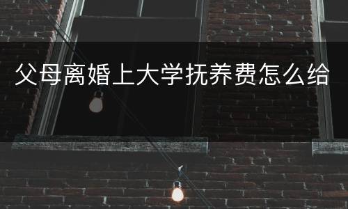 父母离婚上大学抚养费怎么给