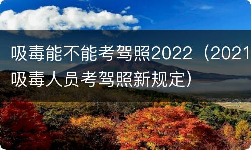 吸毒能不能考驾照2022（2021吸毒人员考驾照新规定）