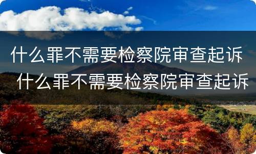 什么罪不需要检察院审查起诉 什么罪不需要检察院审查起诉案件