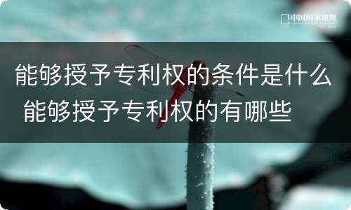 能够授予专利权的条件是什么 能够授予专利权的有哪些