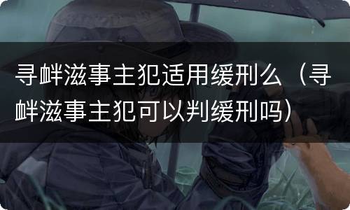 寻衅滋事主犯适用缓刑么（寻衅滋事主犯可以判缓刑吗）