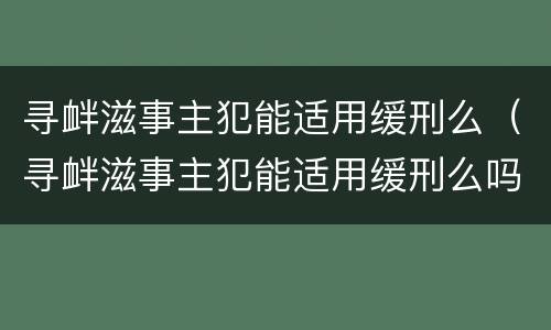 寻衅滋事主犯能适用缓刑么（寻衅滋事主犯能适用缓刑么吗）