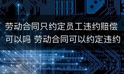 劳动合同只约定员工违约赔偿可以吗 劳动合同可以约定违约责任吗