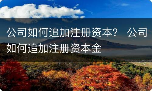 公司如何追加注册资本？ 公司如何追加注册资本金