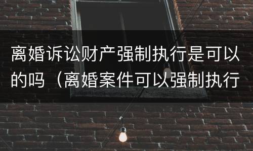 离婚诉讼财产强制执行是可以的吗（离婚案件可以强制执行吗）