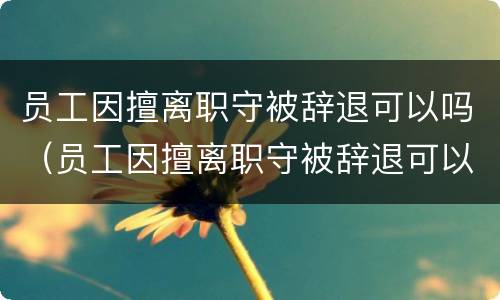 员工因擅离职守被辞退可以吗（员工因擅离职守被辞退可以吗怎么赔偿）