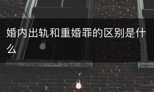 婚内出轨和重婚罪的区别是什么