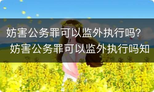 妨害公务罪可以监外执行吗？ 妨害公务罪可以监外执行吗知乎